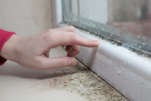 Six Signs Your Windows Need to Be Replaced